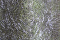 Hazeleigh fibreglass roof work